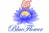 Blueflower hospitals