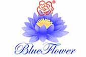 blueflower hospitals